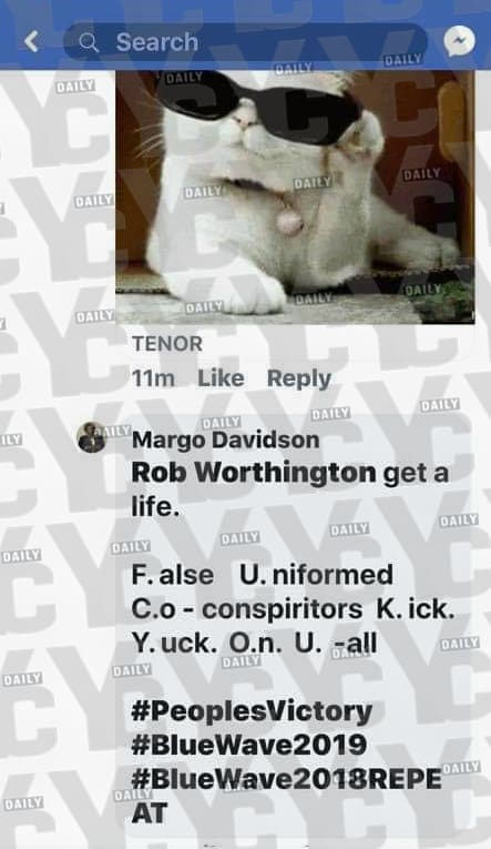 Outraged Delaware County State Representative Margo Davidson took to Facebook to curse out a concerned constituent from her district. (PHOTO: yc.news)