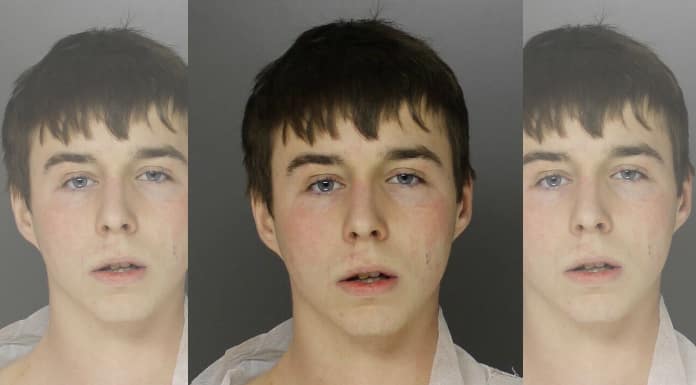 James McCauley, 17, of the 100 block of Friendship Road in Haverford Township. (PHOTO: Courtesy of the Delaware County District Attorney's Office)