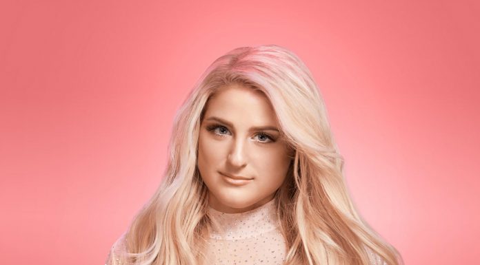 Megan Trainor’s father hospitalized after hit and run