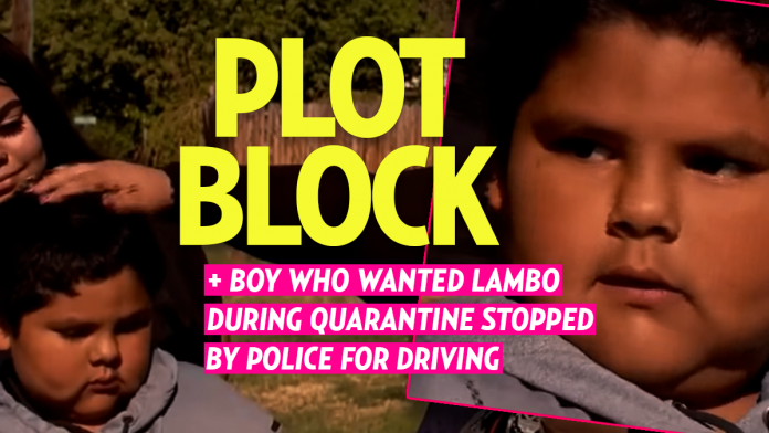 5-year-old Boy Driving to Purchase a Lamborghini STUNNED After Getting Pulled Over by Police