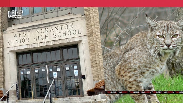Students from West Scranton High School sent home early after BOBCAT breaks into building