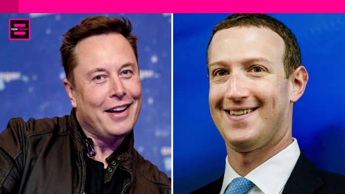 Elon Musk Contemplates $1B Cage Fight vs. Mark Zuckerberg.