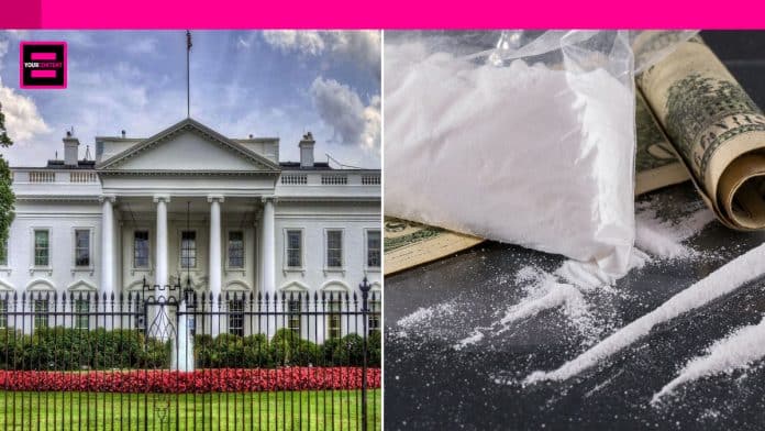 Cocaine Found in White House Amid Hunter Biden Troubles.