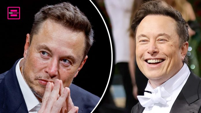 Billionaire Elon Musk to Bankroll Legal Fees for 'X' Users Fired Over Likes