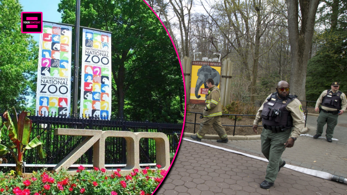 Emergency Evacuation at National Zoo Following Bomb Scare.